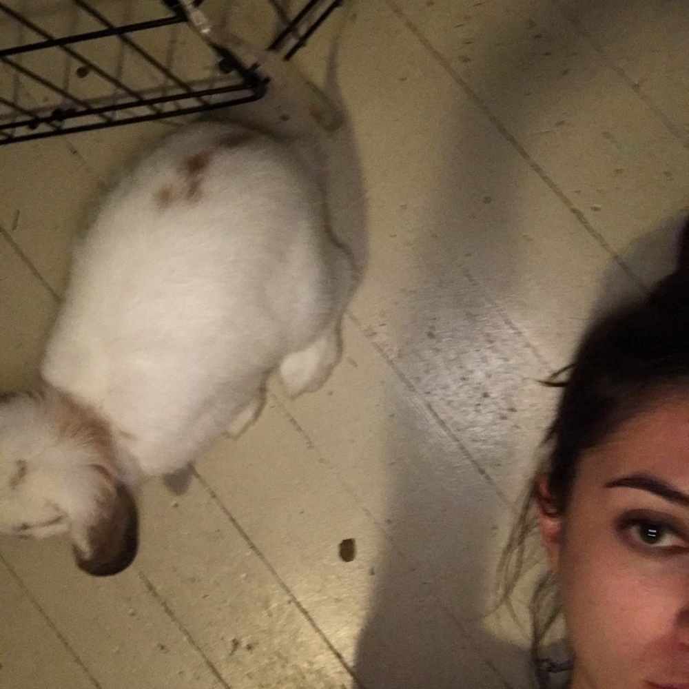 Meet your Posher, Marisa